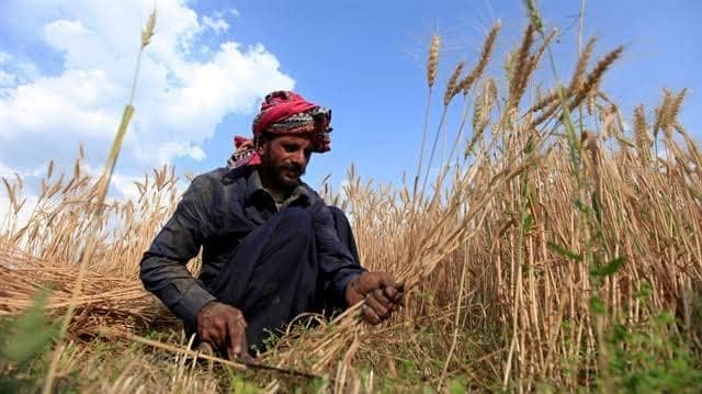 گجرات میں کسان بھائیوں کی حوصلہ افزائی کے لیے کسان ڈے منایا گیا،