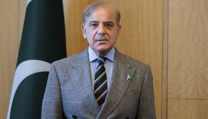 آئینی ترمیم: وزیرِ اعظم شہباز شریف کا بیرون ملک جانے کا پروگرام ملتوی